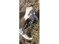 ترمیم شریان حیات ۴۶ روستای هویزه پس از ۳ ساعت عملیات فشرده