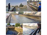 حوضچه های تصفیه خانه آب شرب بهبهان لایروبی شد